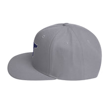 Load image into Gallery viewer, Connecticut Retro Whale Snapback Hat
