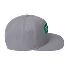 Load image into Gallery viewer, Connecticut Retro Whale Snapback Hat
