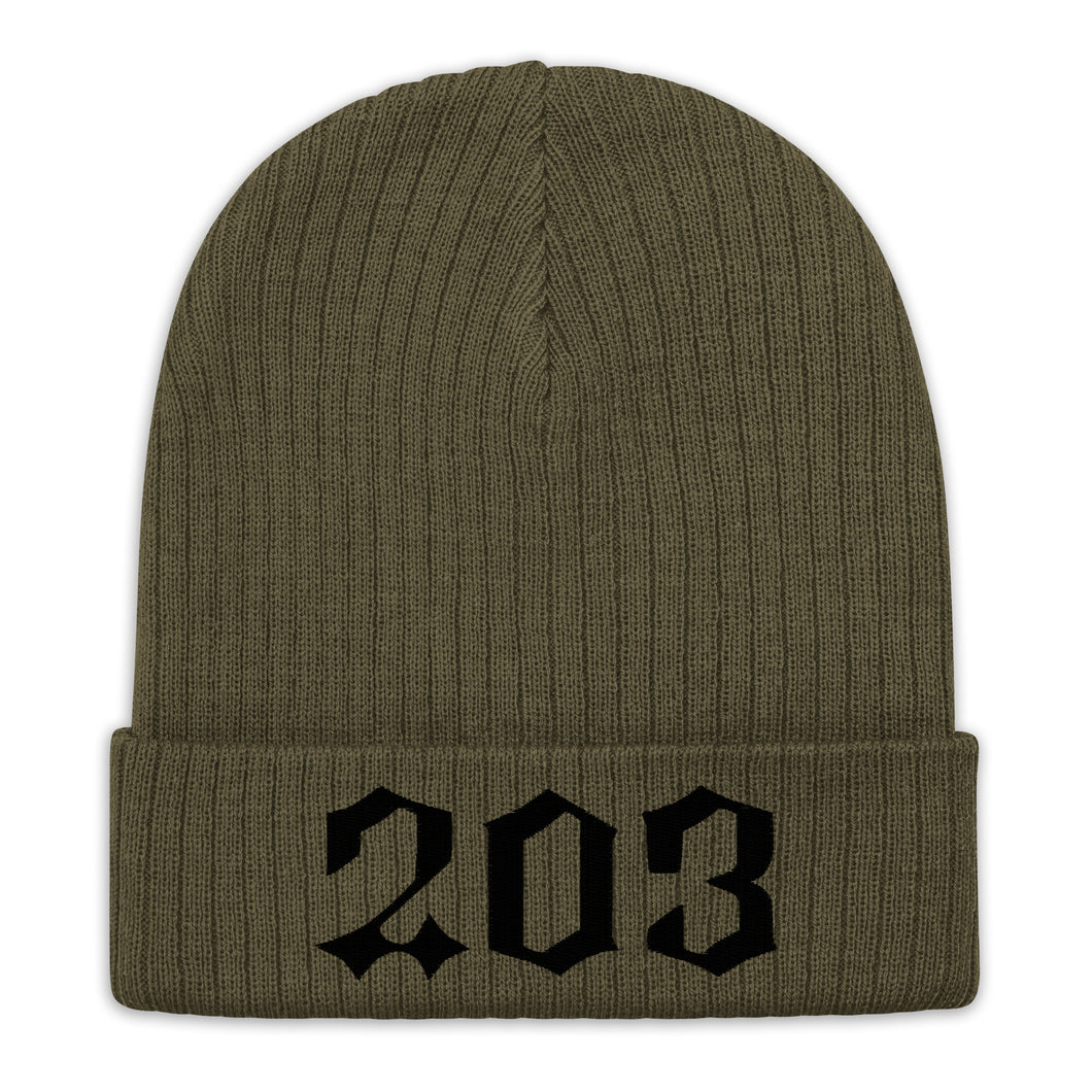 203 Embroidered Ribbed knit beanie