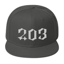 Load image into Gallery viewer, 203 Snapback Hat - (Multiple colors)
